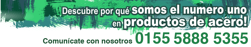 Lamina Pintro | Max Acero Monterrey